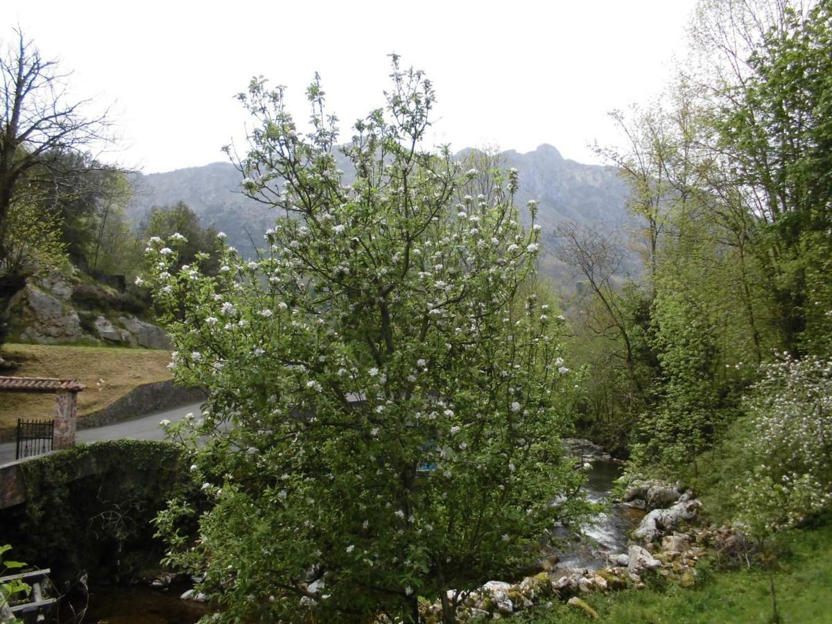 El Molino * Las Arenas