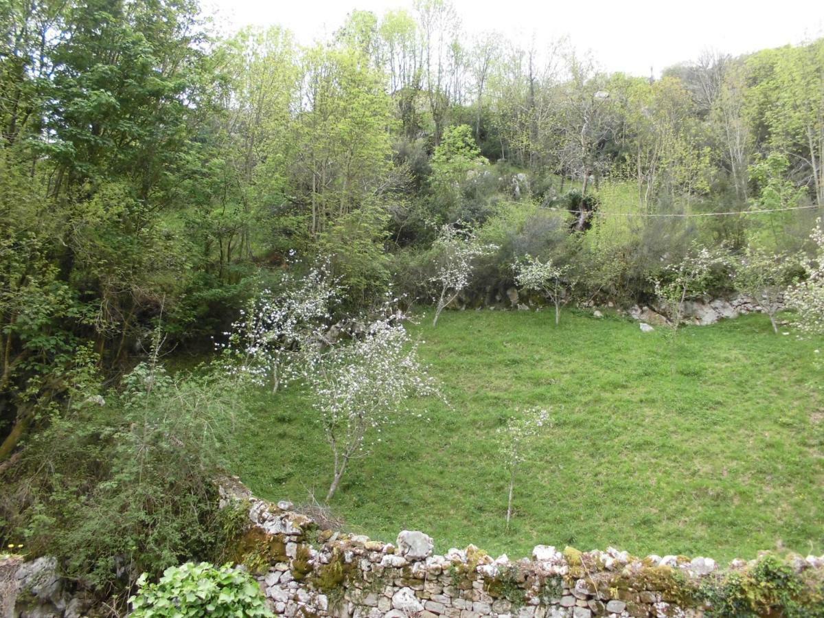 El Molino *