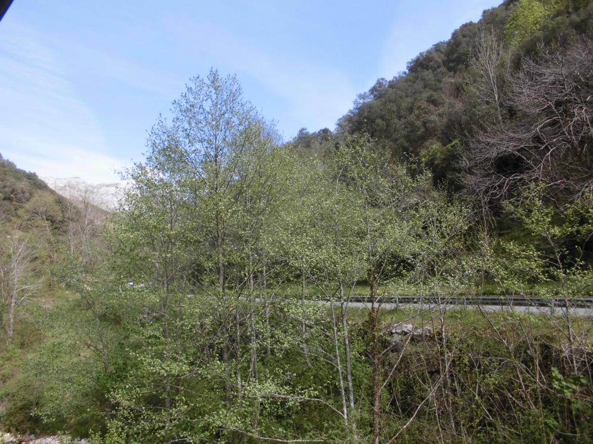 El Molino